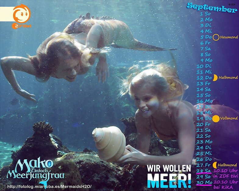 Calendario Mako Mermaids Setiembre de 2013