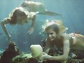 Mako Mermaids: Lyla y Sirena