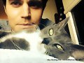 Paul Wesley, el novio de Phoebe Tonkin con su gato