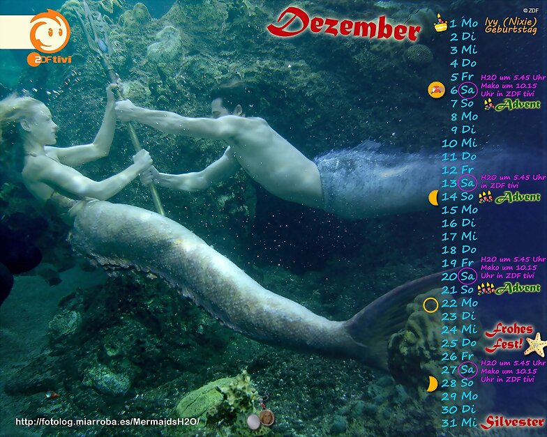 Calendario Mako Mermaids de Diciembre de 2014
