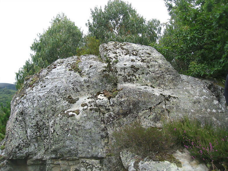 El Prado asturias la roca