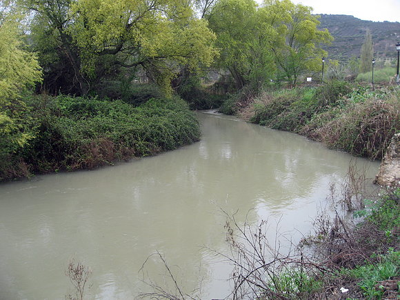 rio tajuña