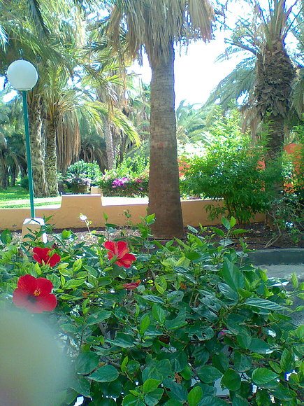 Jardines del Dunas Jandia Resort, Fuerteventura.