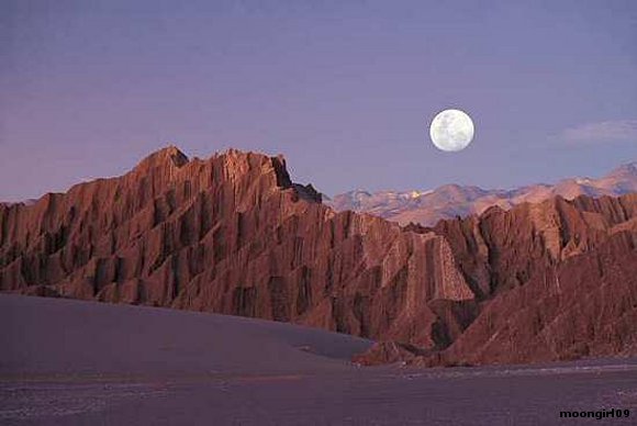 Valle de La Luna.Argentina.