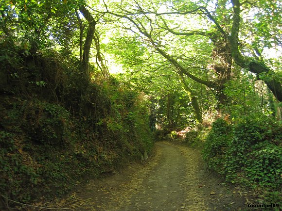 senderos de Galicia.