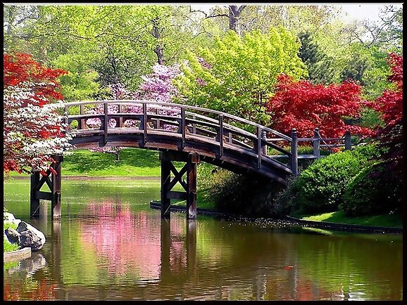 Puente de primavera