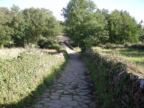 Camino frances a santiago de compostela.