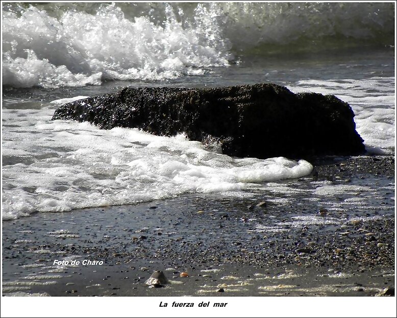 La fuerza del mar