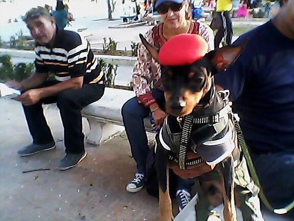 carnavales en Venezuela