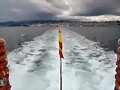 Recorriendo en barco la R&iacute;a de Vigo