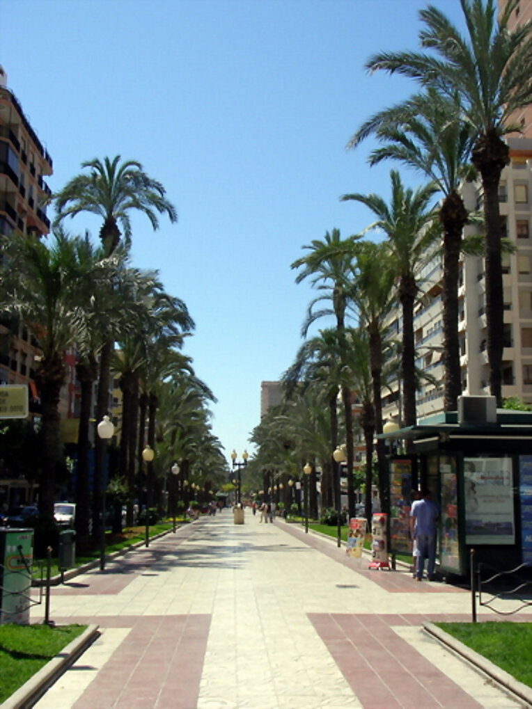 Avenida Federico Soto, Alicante
