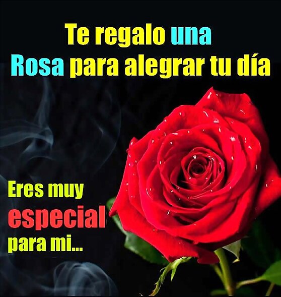Eres muy importante para mi
