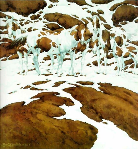 QUE BELLEZA ANIMAL PAISAJE SE CONFUNDEN