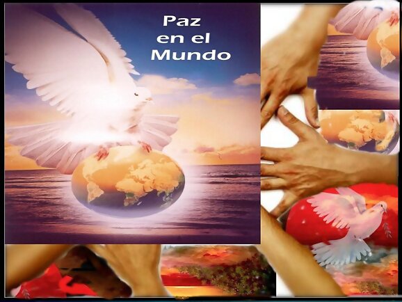 BUSQUEMOS SIEMPRE LA PAZ