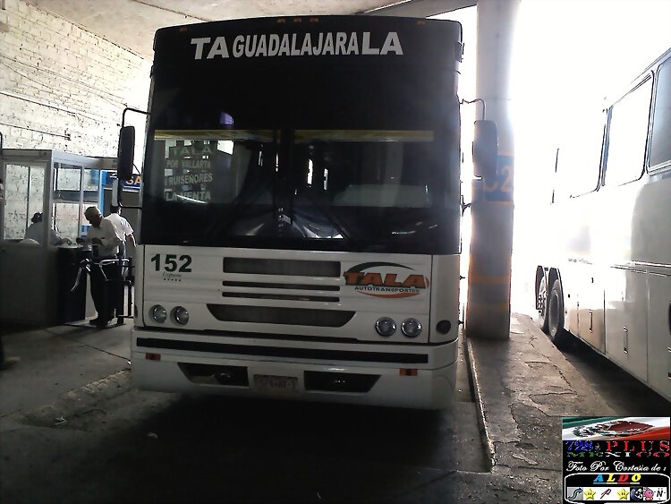 Tala Autotransportes MASA C11 GUADALAJARA