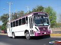 Transportes Oblatos-Colonias  Sigma Of R-45