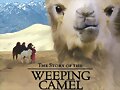 La Historia del camello que llora 2003