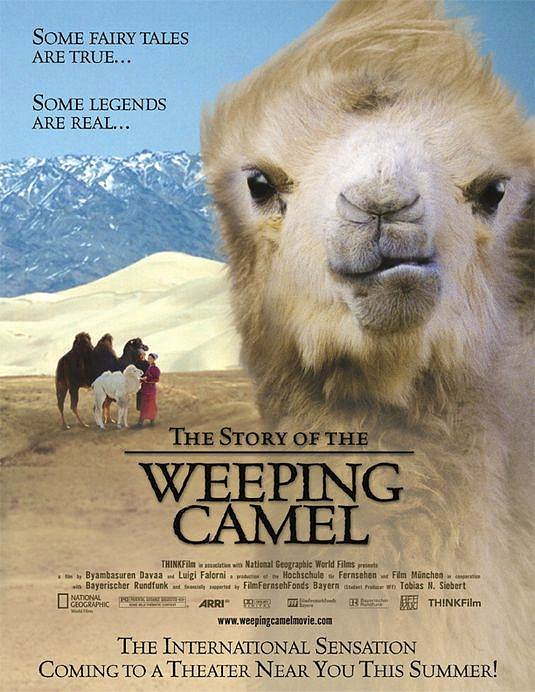 La Historia del camello que llora 2003