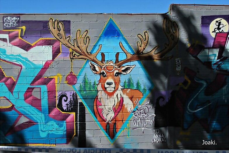 ARTE CALLEJERO -174-
