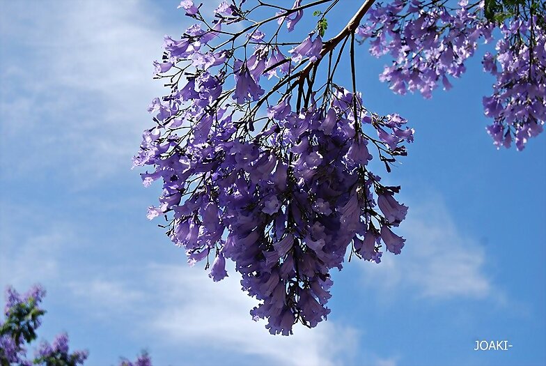 BUEN FIN DE SEMANA .¡¡