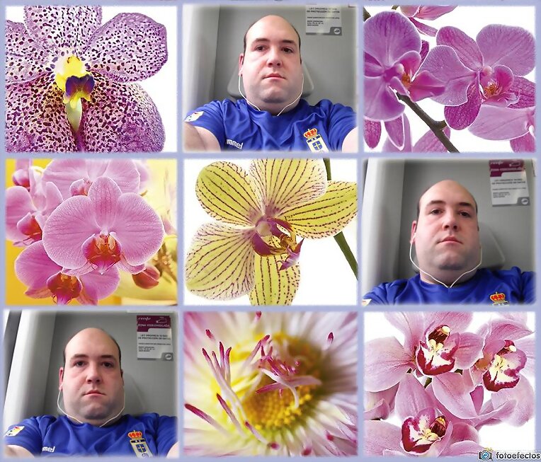 Collage floral