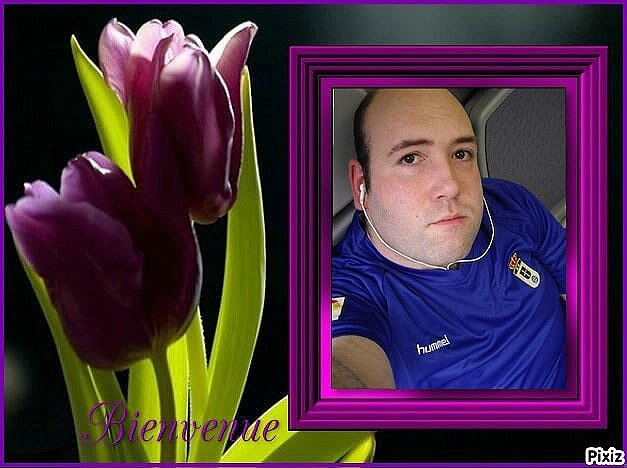 Montaje con flores violetas