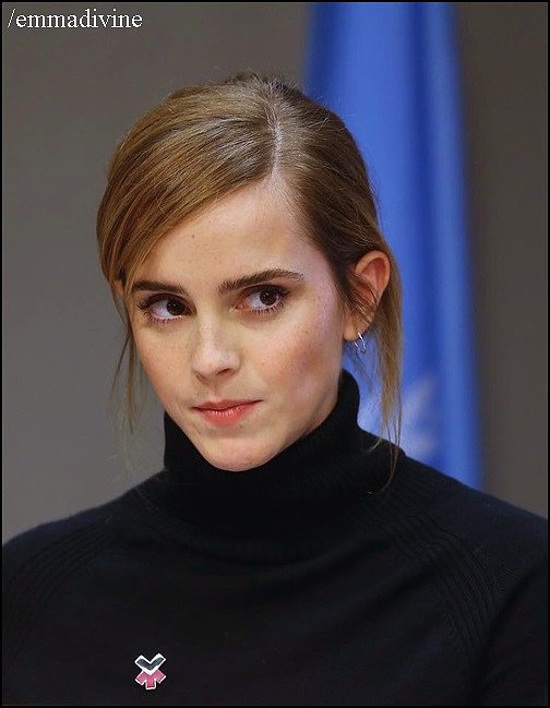 Emma Watson en un Lunch de las Naciones Unidas.