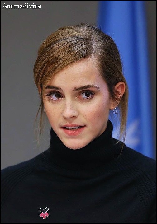 Emma en un Lunch de las Naciones Unidas.