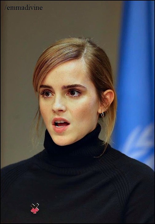 Emma en un Lunch de las Naciones Unidas