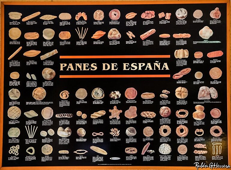 PAN: UNA HISTORIA CON MUCHA MIGA 3º PARTE