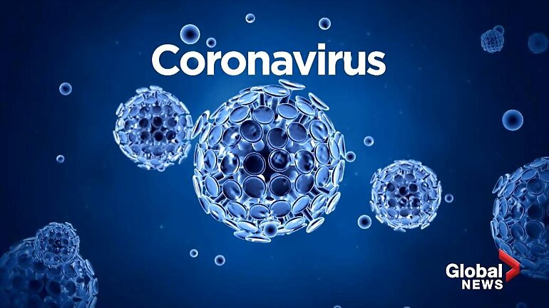 CORONAVIRUS- COVID 19 2º PARTE
